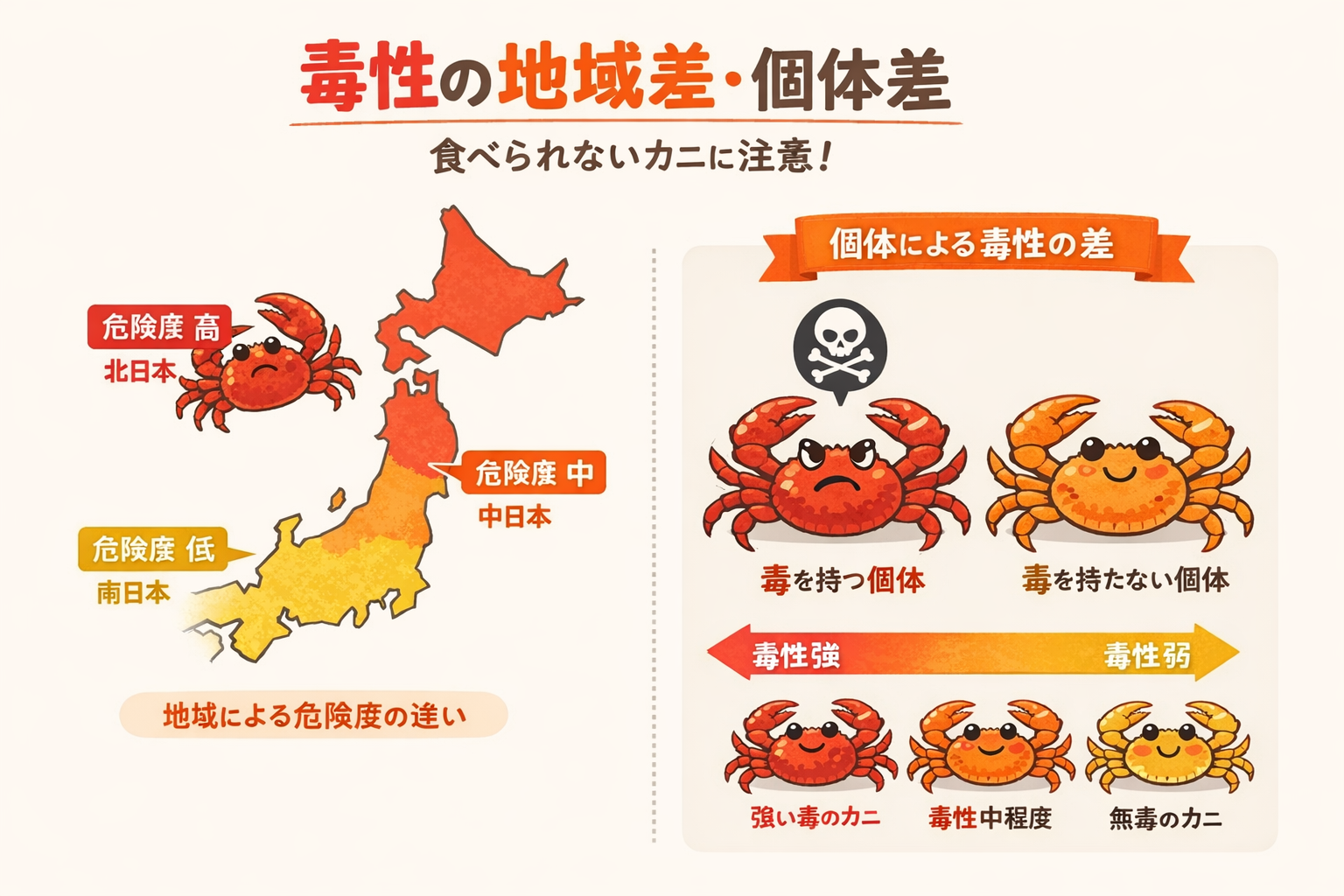 インフォグラフィック2