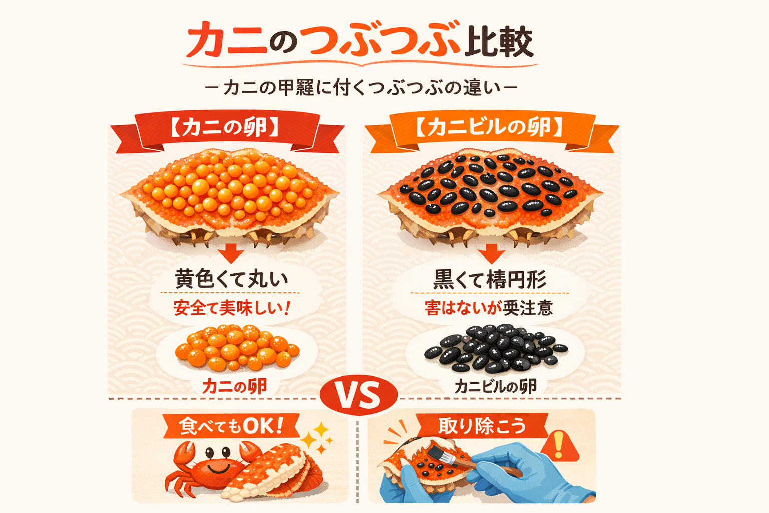 インフォグラフィック1