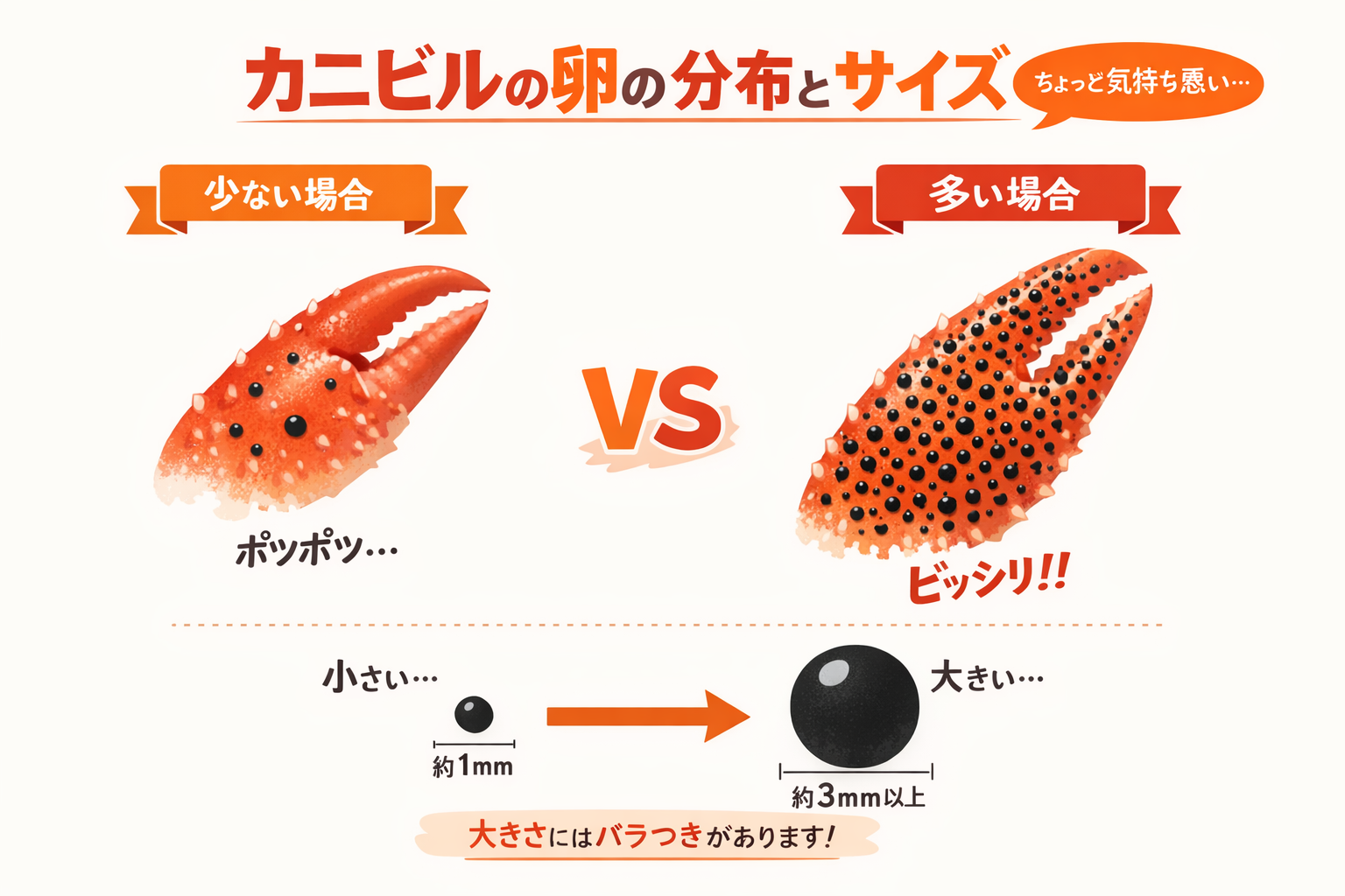 インフォグラフィック1