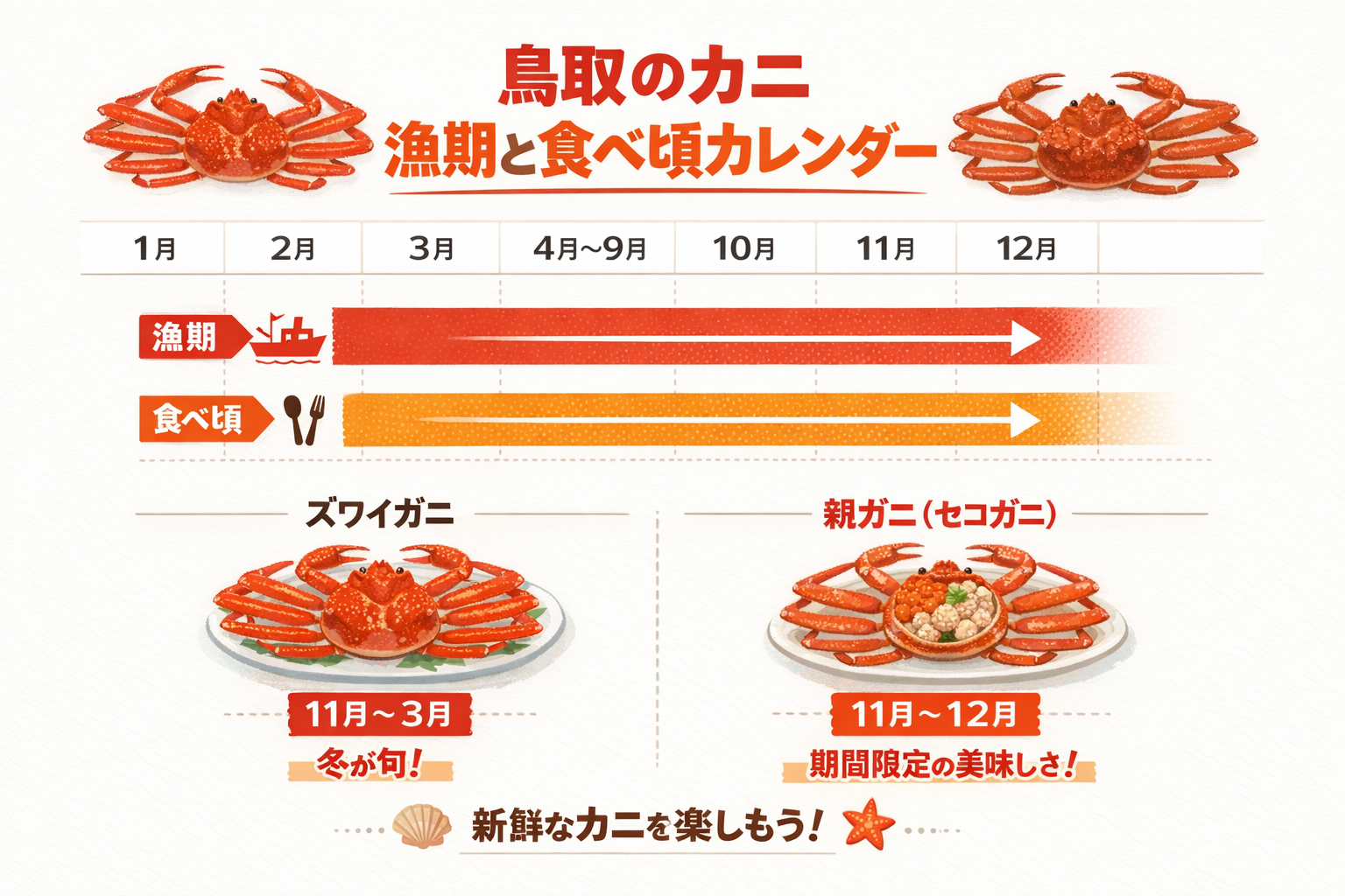 インフォグラフィック2