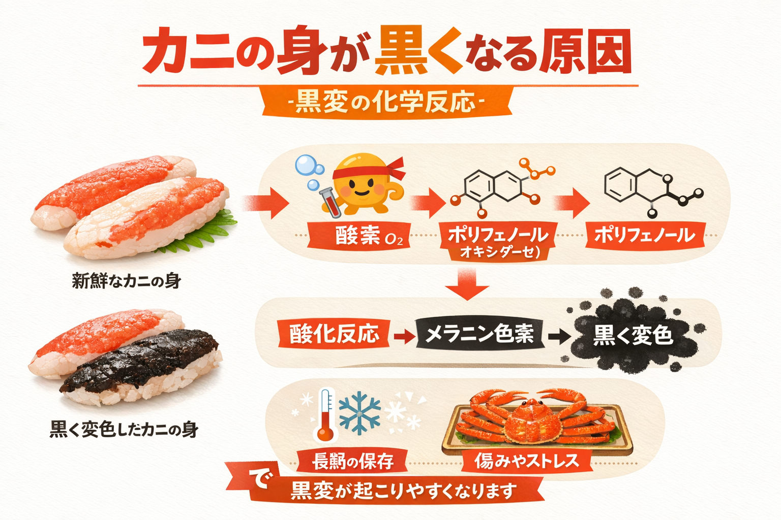 インフォグラフィック2