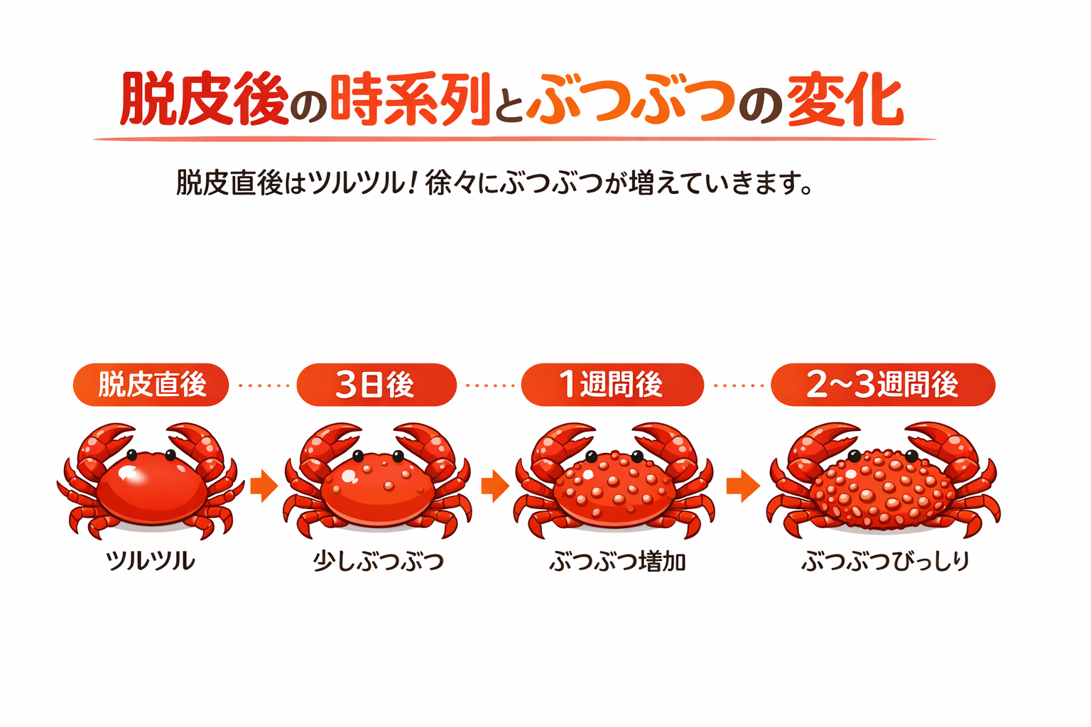 インフォグラフィック2