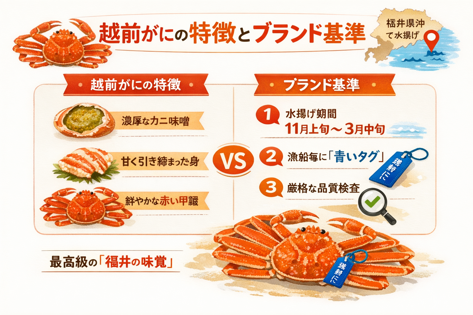 インフォグラフィック1