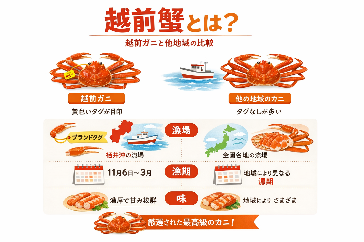 インフォグラフィック1