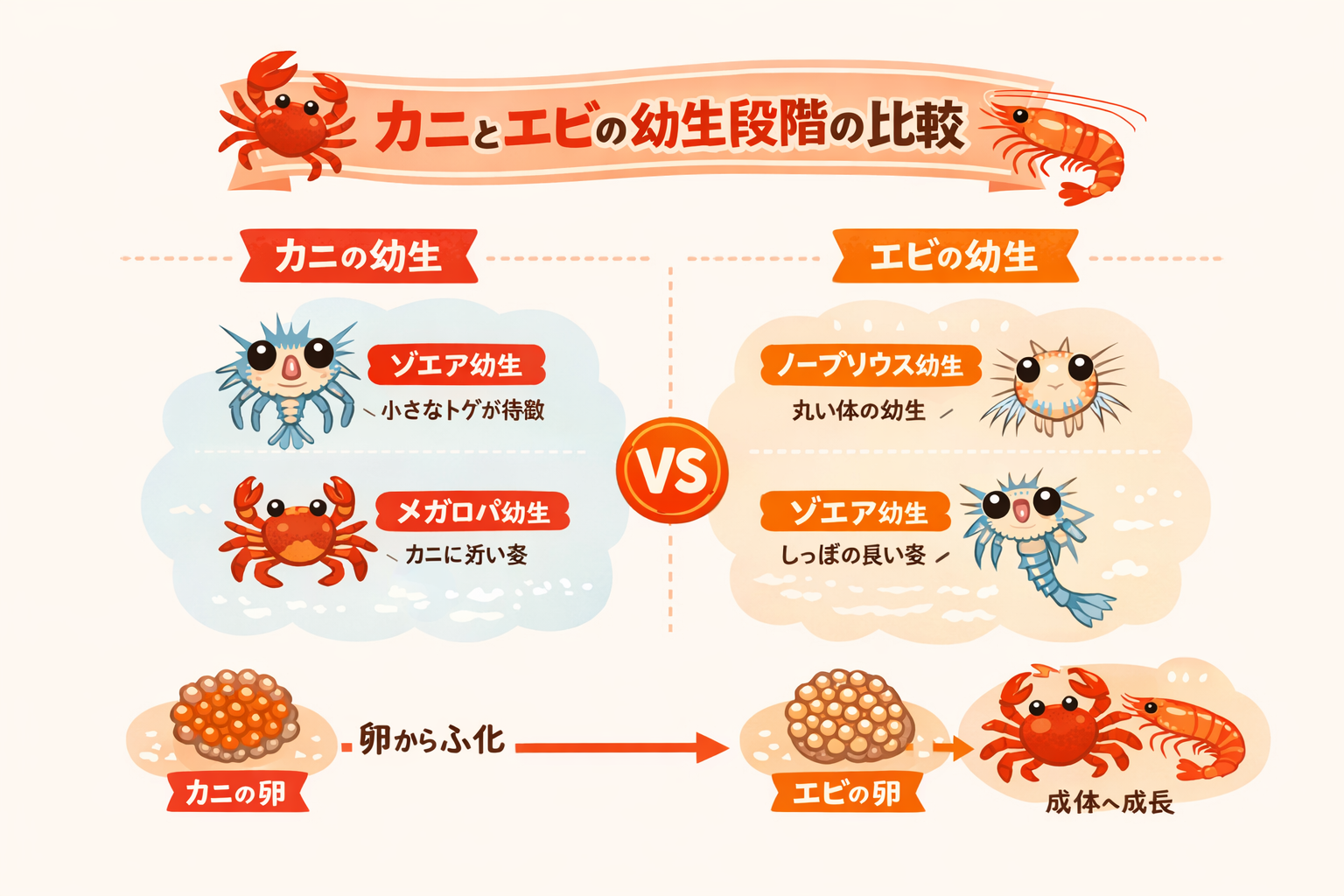 インフォグラフィック1