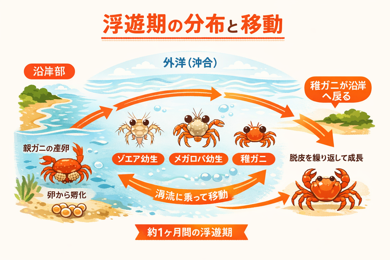 インフォグラフィック2