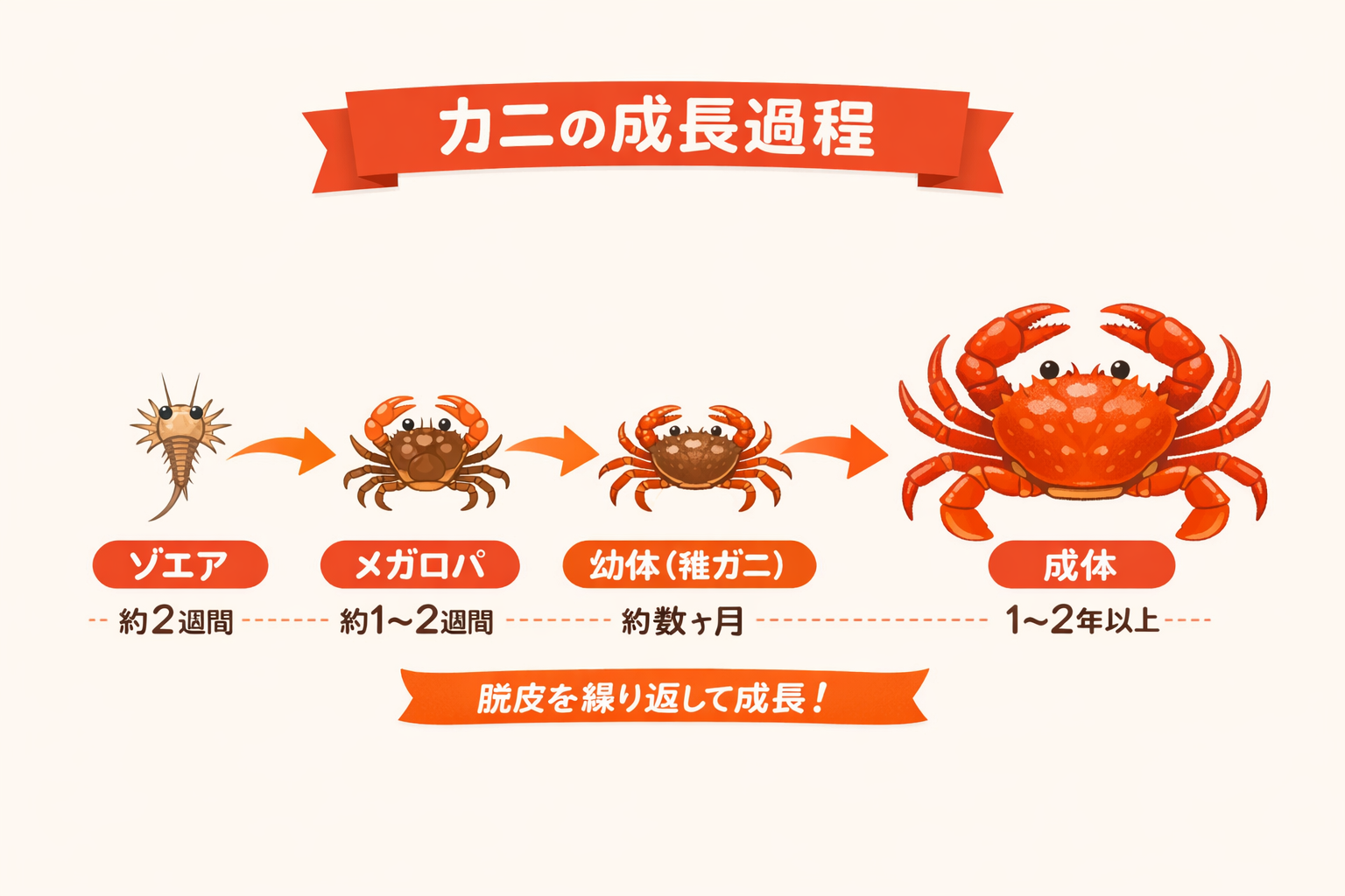 インフォグラフィック3