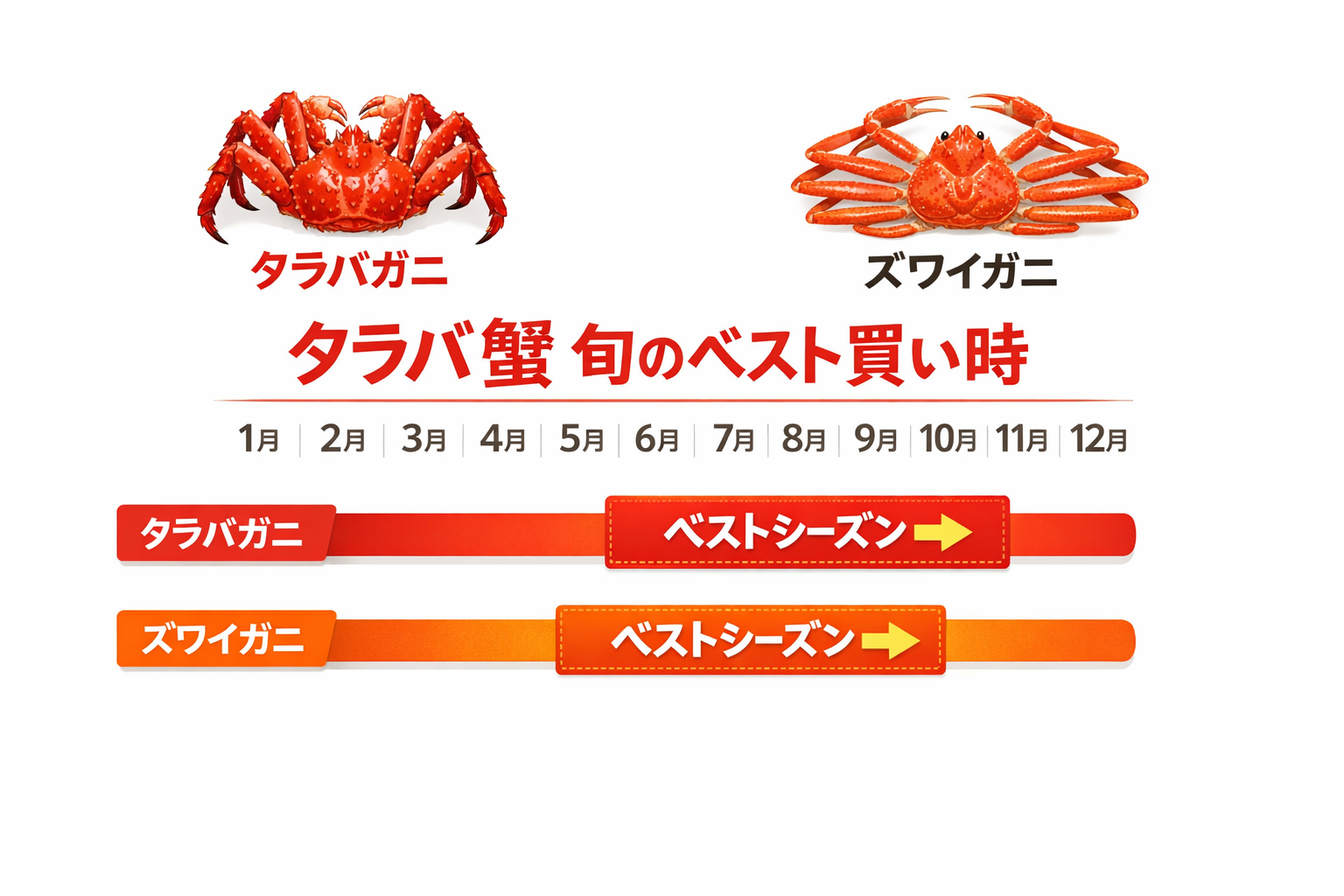 インフォグラフィック3