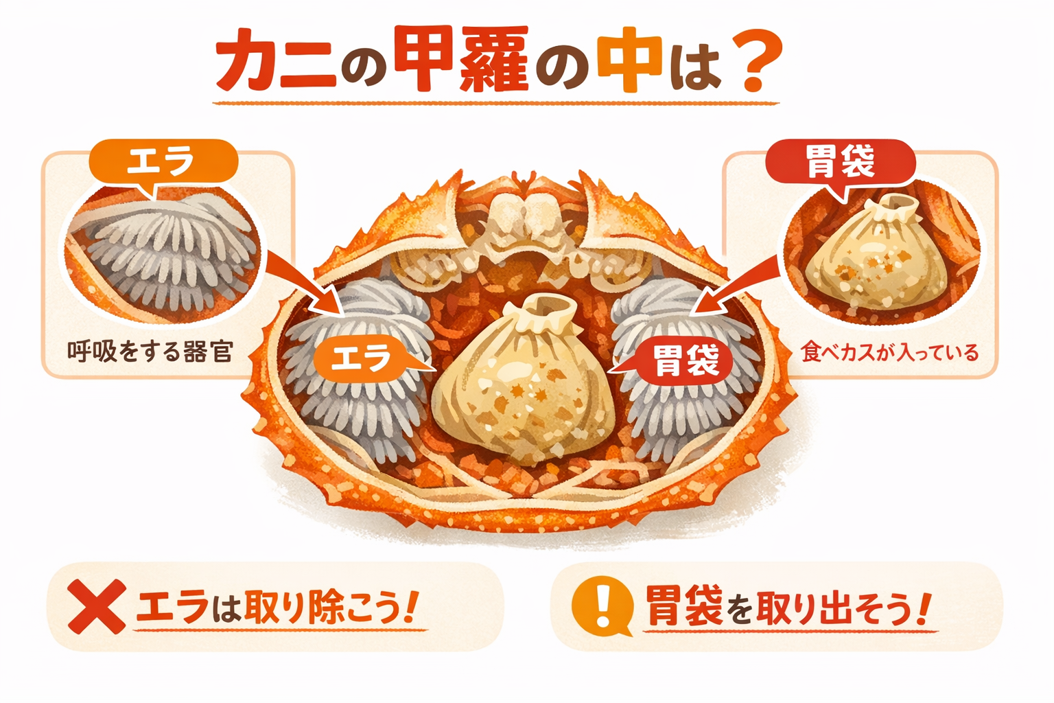 インフォグラフィック2