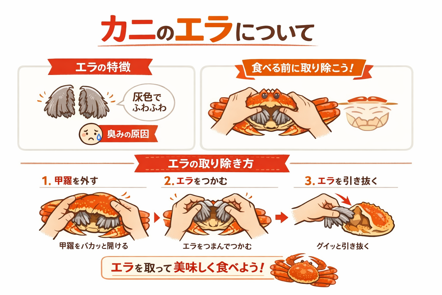 インフォグラフィック1